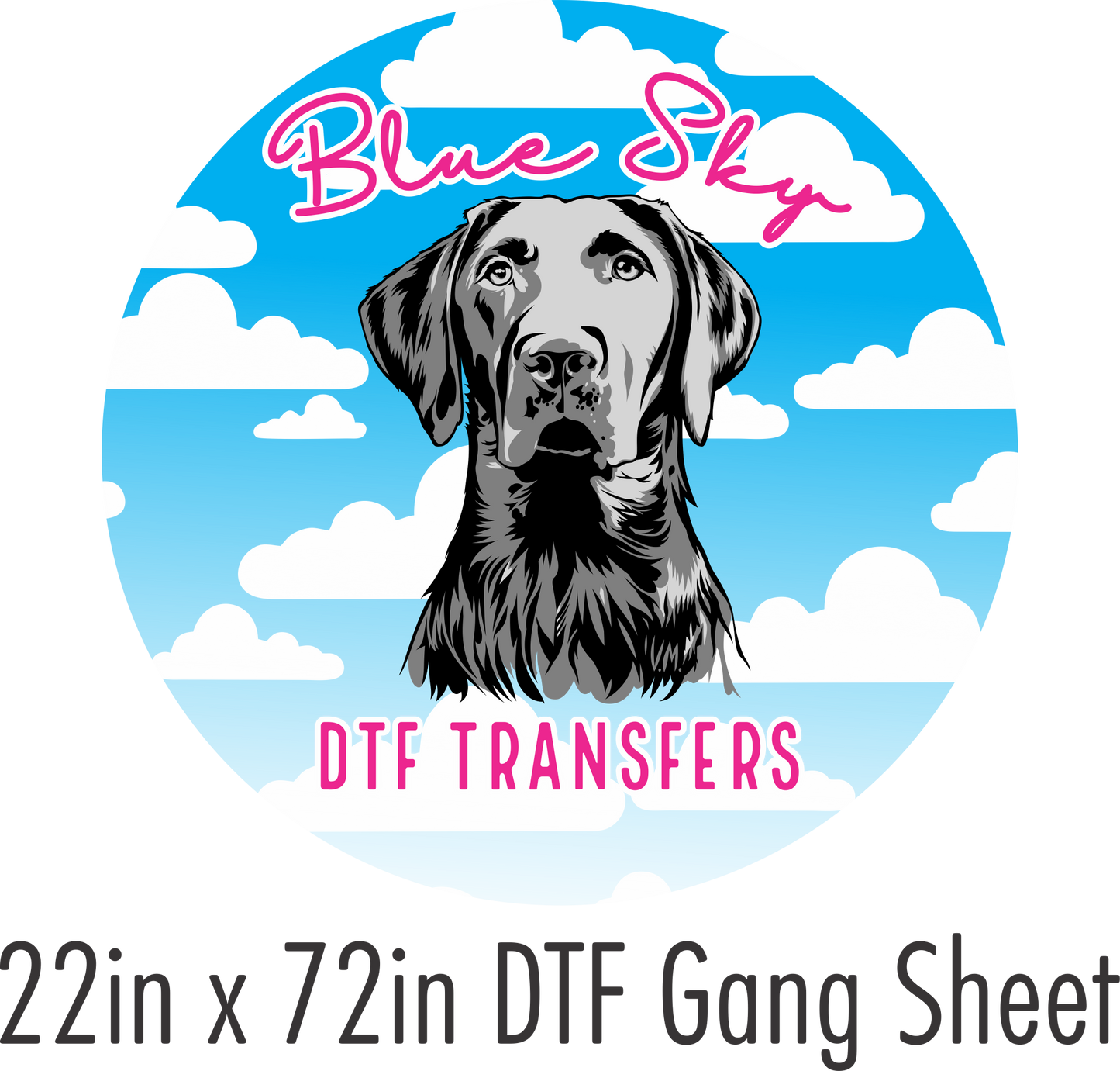 22in x 72in Custom Gangsheet