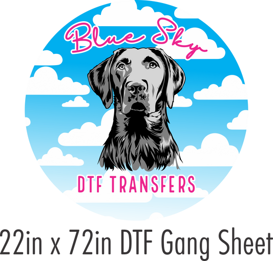 22in x 72in Custom Gangsheet